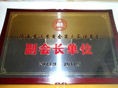副會(huì)長單位